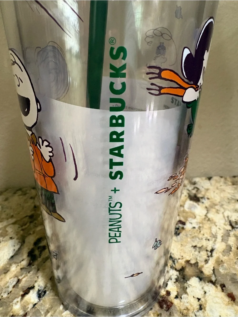 🔥🔥Starbucks Peanuts Autumn Cold Tumbler 2026 Peanuts Edition